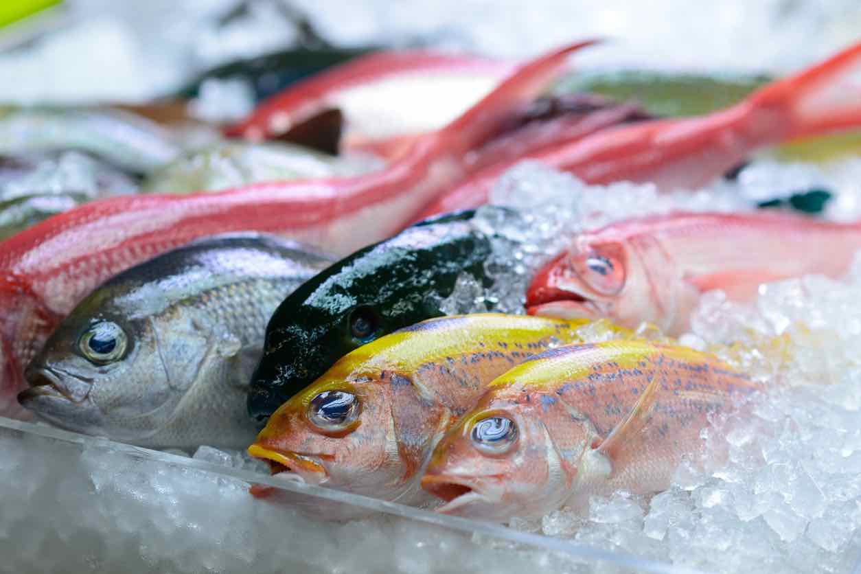 Colourful fish being sold at the fish market in Naha, Okinawa.