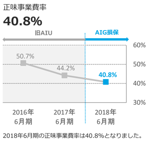 AIG PPT Guide