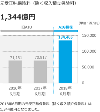 AIG PPT Guide