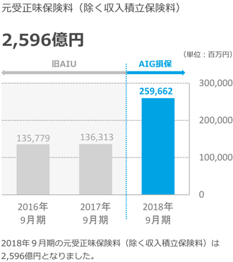 AIG PPT Guide