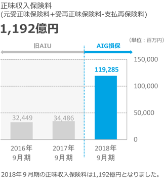 AIG PPT Guide