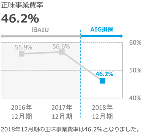 AIG PPT Guide