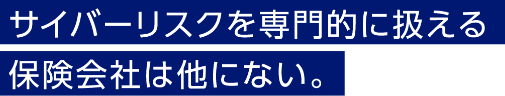 サイバーリスクを専門的に扱える保険会社は他にない。