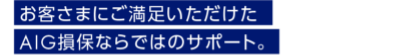 お客さまにご満足いただけたAIG損保ならではのサポート。