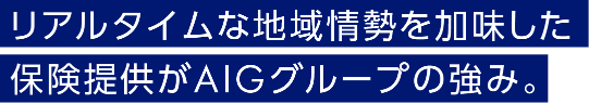 リアルタイムな地域情勢を加味した保険提供がAIGグループの強み。