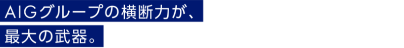 AIGグループの横断力が、最大の武器。
