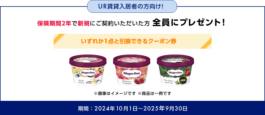 UR賃貸入居者の方向け！保険期間2年で新規にご契約いただいた方全員にプレゼント！　いずれか1点と引換できるクーポン券　※画像はイメージです ※商品は一例です　期間：2024年10月1日～2025年9月30日