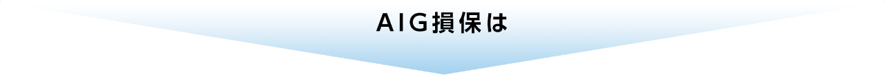 AIG損保は