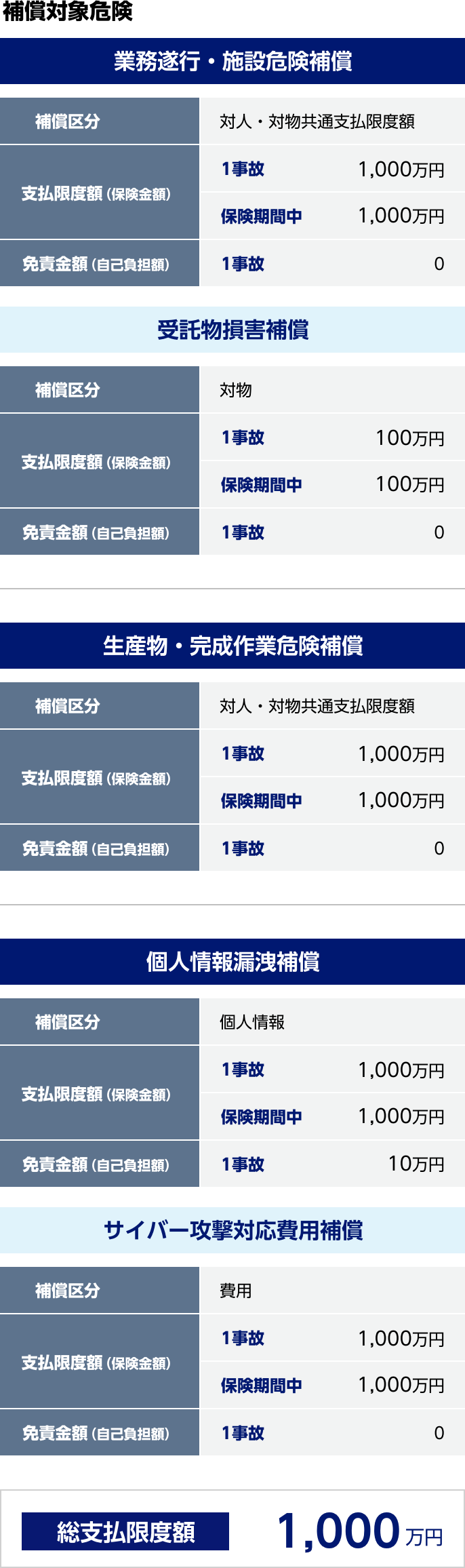補償対象危険　業務遂行・施設危険補償　補償区分 対人・対物共通支払限度額　支払限度額（保険金額）1事故1,000万円 保険期間中1,000万円　免責金額（自己負担額） 1事故0　受託物損害補償　補償区分 対物　支払限度額（保険金額）1事故100万円 保険期間中100万円　免責金額（自己負担額） 1事故0　生産物・完成作業危険補償　補償区分 対人・対物共通支払限度額　支払限度額（保険金額）1事故1,000万円 保険期間中1,000万円　免責金額（自己負担額） 1事故0　個人情報漏洩補償　補償区分 個人情報　支払限度額（保険金額）1事故1,000万円 保険期間中1,000万円　免責金額（自己負担額） 1事故10万円　サイバー攻撃対応費用補償　補償区分 費用　支払限度額（保険金額）1事故1,000万円 保険期間中1,000万円　免責金額（自己負担額） 1事故0　総支払限度額1,000万円
