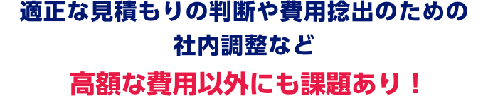 適正な見積もりの判断や費用捻出のための社内調整など高額な費用以外にも課題あり！