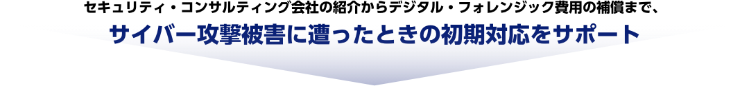 セキュリティ・コンサルティング会社の紹介からデジタル・フォレンジック費用の補償まで、サイバー攻撃被害に遭ったときの初期対応をサポート