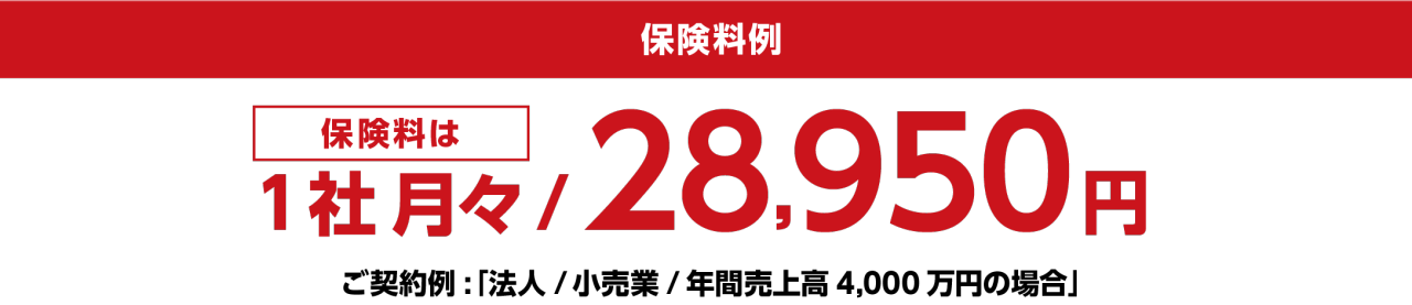 保険料例　保険料は1社 月々/28,950円　ご契約例：「法人/小売業/年間売上高 4,000万円の場合」