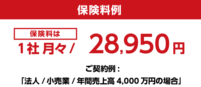 保険料例　保険料は1社 月々/28,950円　ご契約例：「法人/小売業/年間売上高 4,000万円の場合」