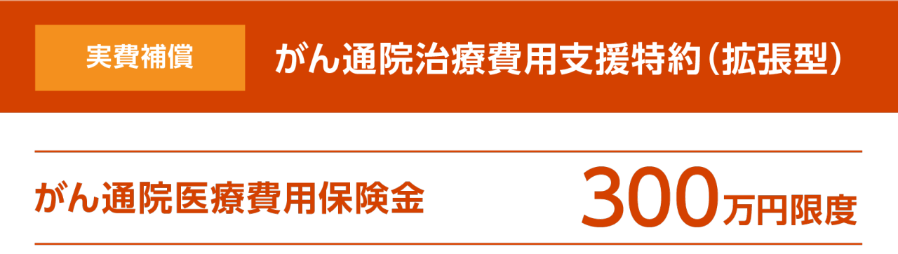 実費補償 がん通院治療費用支援特約（拡張型）　がん通院医療費用保険金300万円限度