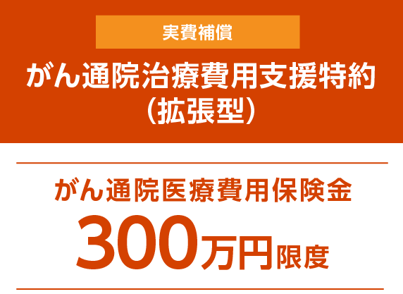 実費補償 がん通院治療費用支援特約（拡張型）　がん通院医療費用保険金300万円限度