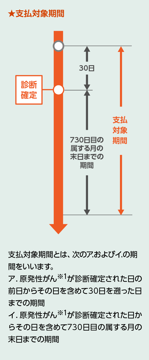 支払対象期間　30日診断確定 730日目の属する月の末日までの期間　支払対象期間とは、次のア.およびイ.の期間をいいます。ア.原発性がん※1が診断確定された日の前日からその日までを含めて30日を遡った日までの期間　イ.原発性がん※1が診断確定された日からその日を含めて730日目の属する月の末日までの期間