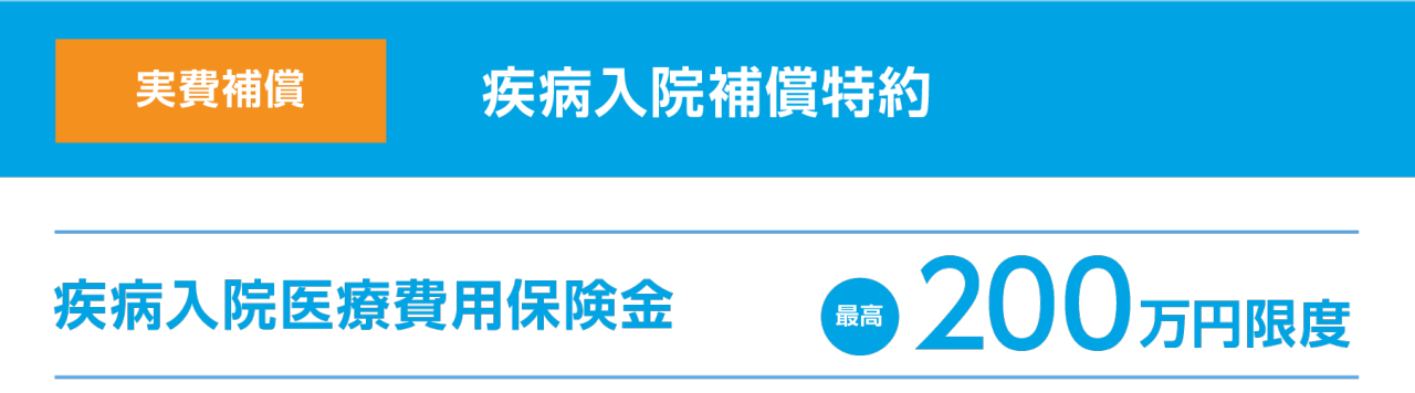 実費補償 疾病入院補償特約　疾病入院医療費用保険金 最高200万円限度