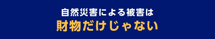 自然災害による被害は財物だけじゃない