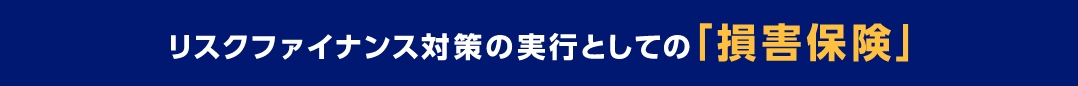 リスクファイナンス対策の実行としての「損害保険」