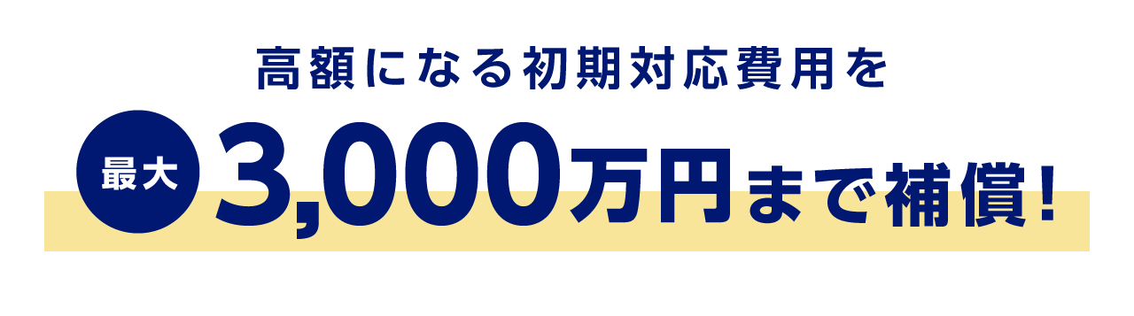 高額になる初期対応費用を最大3,000万円まで補償！