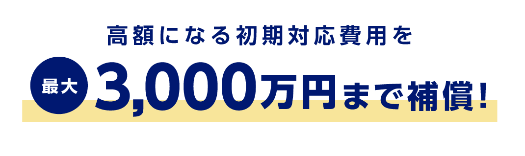 高額になる初期対応費用を最大3,000万円まで補償！