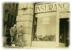 Aig Japan Insurance For U S Forces Personnel And Dod Civilians Aig損保
