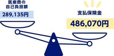 医療費の自己負担額289,135円　支払保険金486,070円