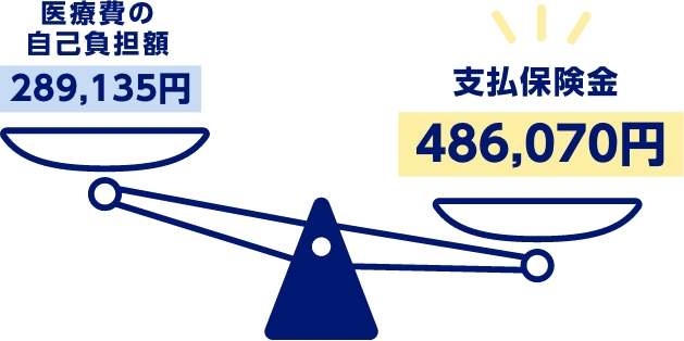 医療費の自己負担額289,135円　支払保険金486,070円