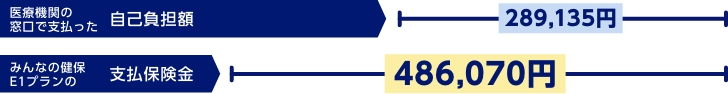 医療機関の窓口で支払った自己負担額289,135円　みんなの健保E1プランの支払保険金486,070円