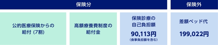 保険分 公的医療保険からの給付（7割） 高額療養費制度の給付金 保険診療の自己負担額90,113円（食事負担額を含む）　保険外 差額ベッド代199,022円