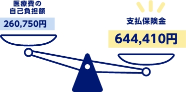 医療費の自己負担額260,750円　支払保険金644,410円