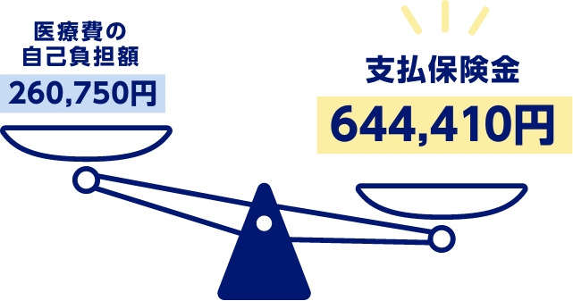 医療費の自己負担額260,750円　支払保険金644,410円