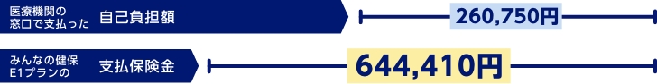 医療機関の窓口で支払った自己負担額260,750円　みんなの健保E1プランの支払保険金644,410円