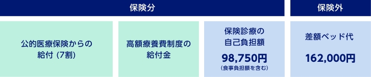 保険分 公的医療保険からの給付（7割） 高額療養費制度の給付金 保険診療の自己負担額98,750円（食事負担額を含む）　保険外 差額ベッド代162,000円