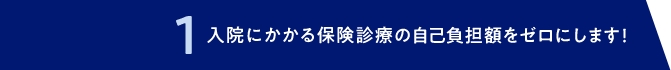 1 入院にかかる保険診療の自己負担額をゼロにします！