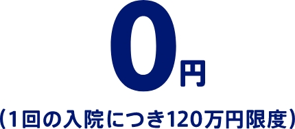 0円（1回の入院につき120万円限度）