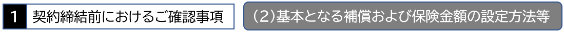 1 契約前におけるご確認事項　（2）基本となる補償および保険金額の設定方法等