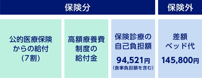 保険分 公的医療保険からの給付(7割) 高額療養費制度の給付金 保険診療の自己負担額94,521円(⾷事負担額を含む)　保険外 差額ベッド代145,800円