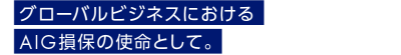 グローバルビジネスにおけるAIG損保の使命として。