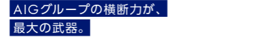 AIGグループの横断力が、最大の武器。