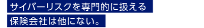 サイバーリスクを専門的に扱える保険会社は他にない。