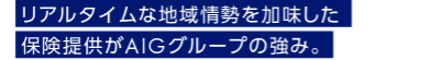 リアルタイムな地域情勢を加味した保険提供がAIGグループの強み。