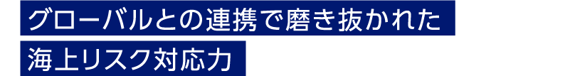 グローバルとの連携で磨き抜かれた海上リスク対応力