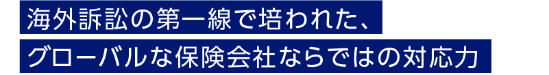 海外訴訟の第一線で培われた、グローバルな保険会社ならではの対応力
