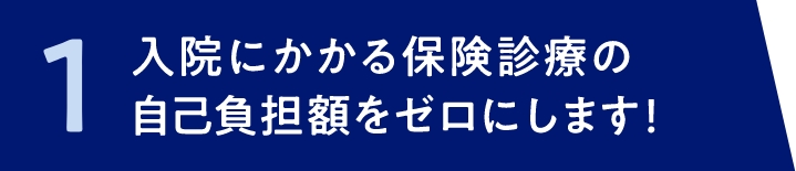 1 入院にかかる保険診療の自己負担額をゼロにします！