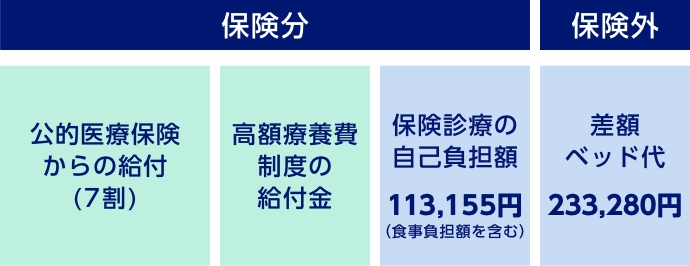 保険分 公的医療保険からの給付（7割） 高額療養費制度の給付金 保険診療の自己負担額113,155円（食事負担額を含む）　保険外 差額ベッド代232,280円