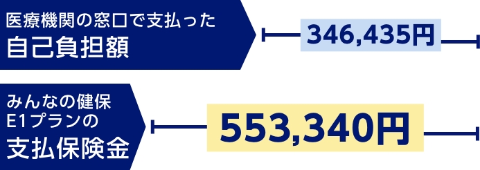 医療機関の窓口で支払った自己負担額346,435円　みんなの健保E1プランの支払保険金554,340円