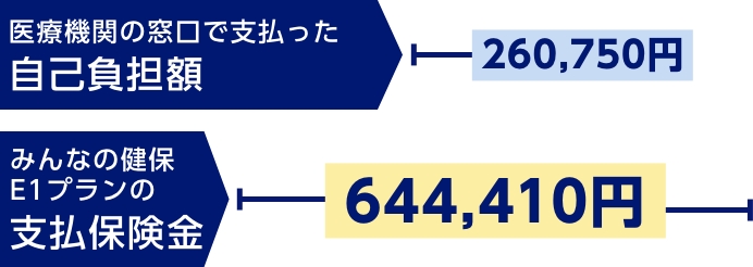 医療機関の窓口で支払った自己負担額260,750円　みんなの健保E1プランの支払保険金644,410円