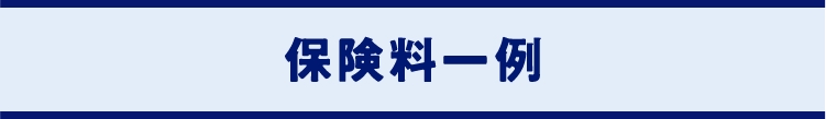 保険料一例